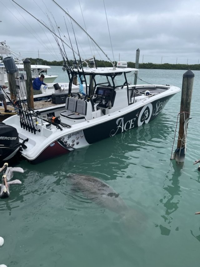 Guests with fish at the marina